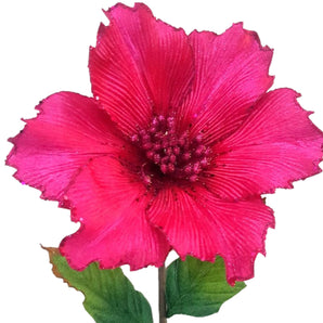 Poinsettia: 25cm | Pink