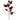 Pick: 70cm | Burgundy leaves