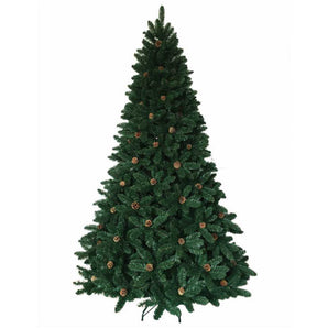 Canadian Christmas Tree: 2.4m